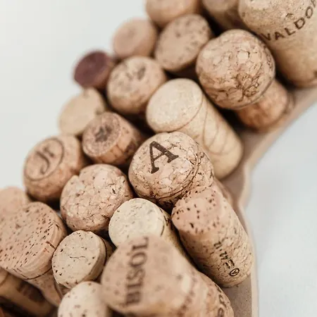 Grape Attic 72 - The House Of Travelers Lejlighed